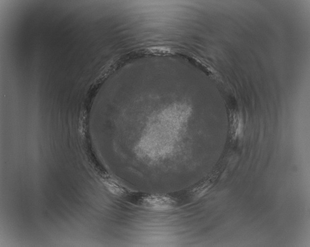 X0000072920712200608041150