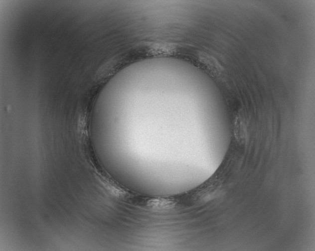 X0000072920714200608041150
