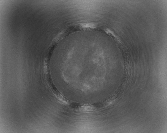 X0000072920716200608041150