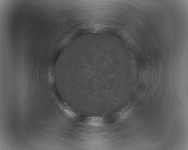 X0000072920719200608041150