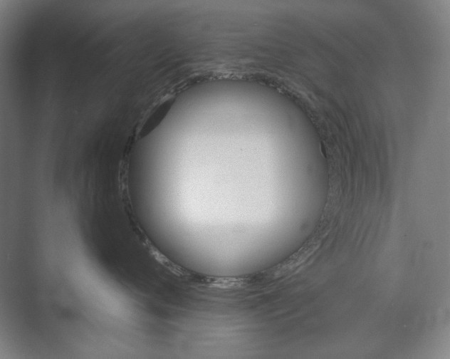 X0000072920720200608041150