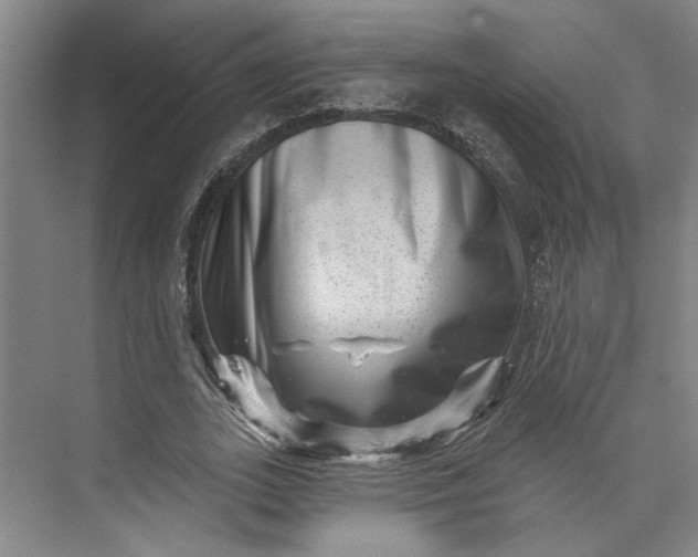 X0000072920727200608041149