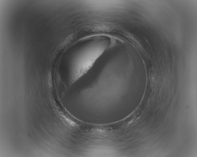 X0000072920729200608041149