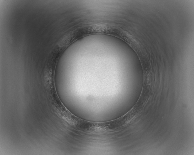 X0000072920737200608041149