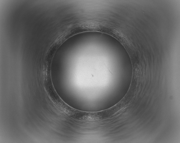 X0000072920739200608041149