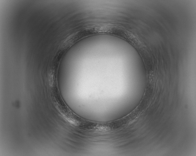 X0000072920741200608041149