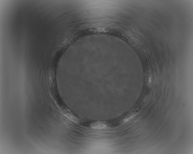 X0000072920747200608041149