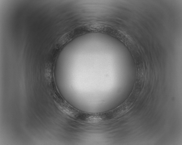 X0000072920749200608041150