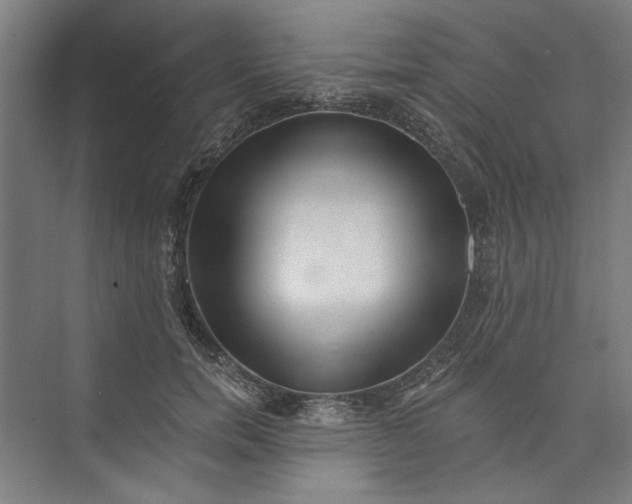 X0000072920750200608041150