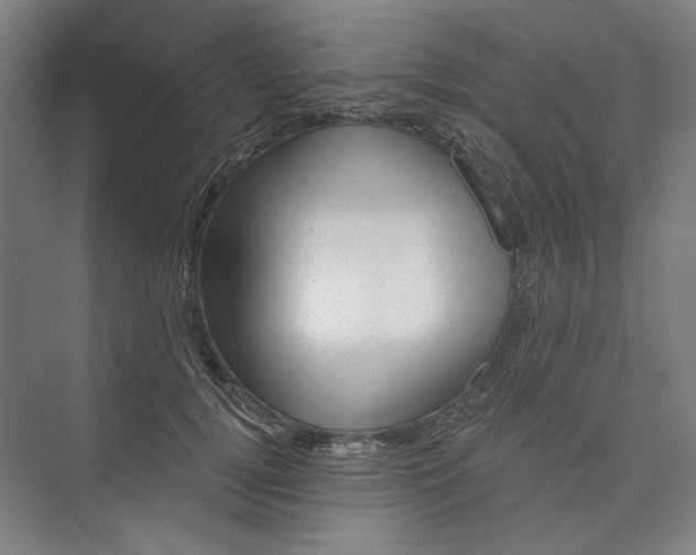 X0000072920752200608041150