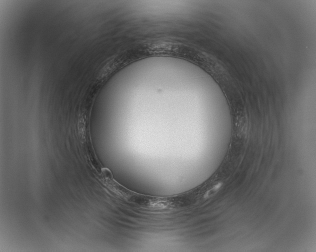 X0000072920753200608041150