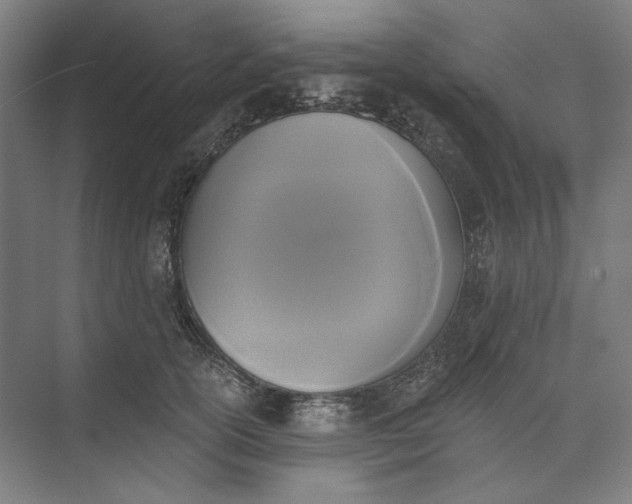 X0000072920754200608041150