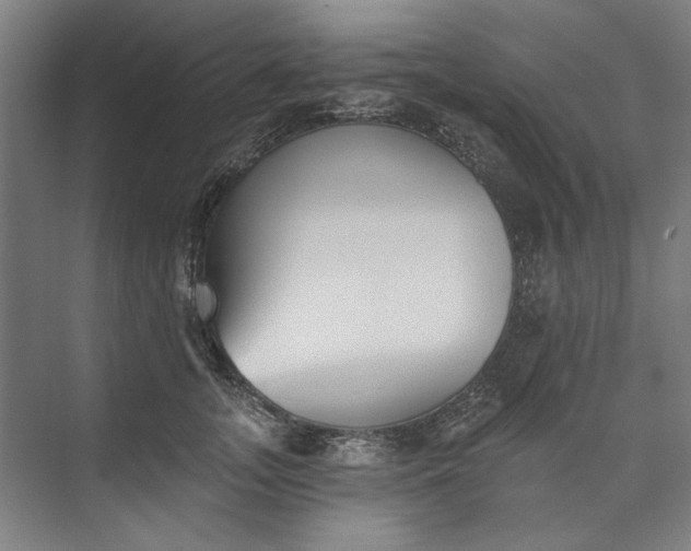 X0000072920755200608041150