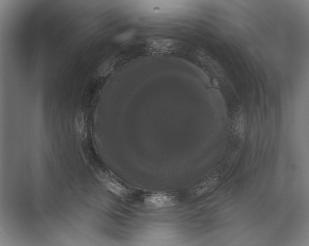 X0000072920759200608041150