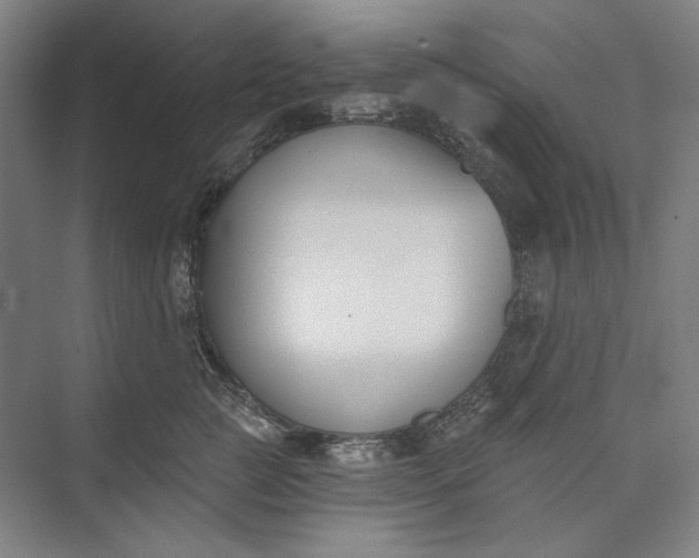 X0000072920761200608041150