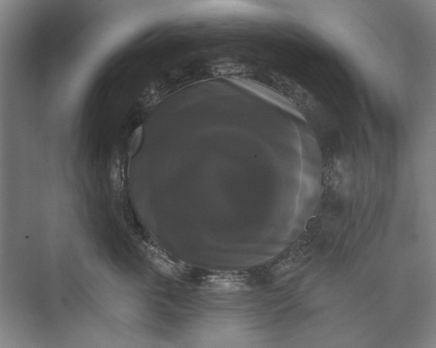 X0000072920763200608041150