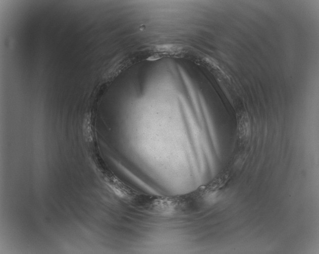 X0000072920764200608041150