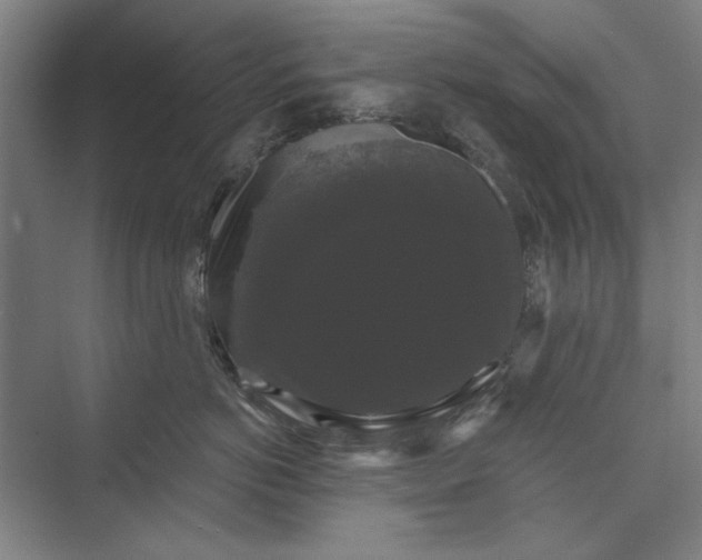 X0000072920766200608041150