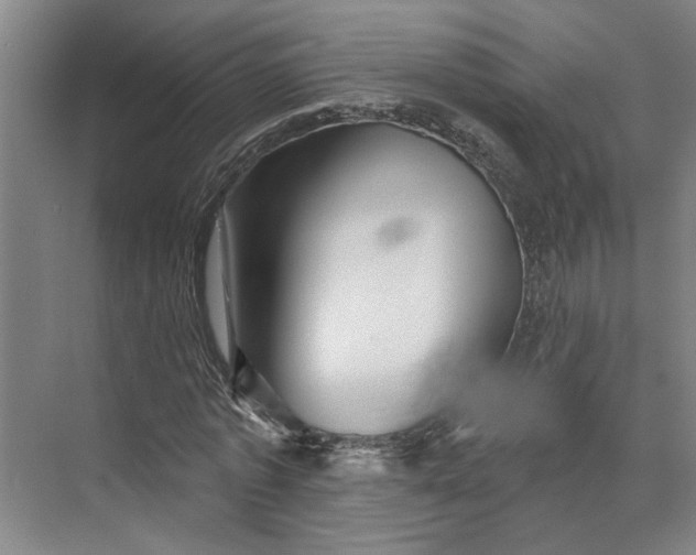 X0000072920773200608041149