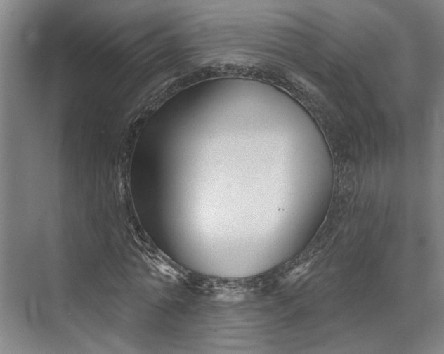 X0000072920774200608041149