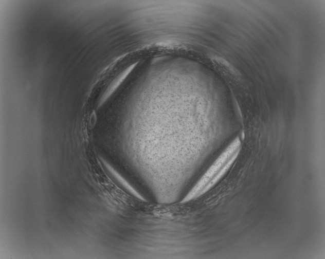 X0000072920776200608041149