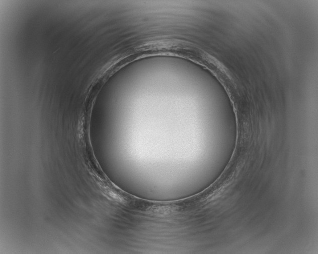 X0000072920778200608041149