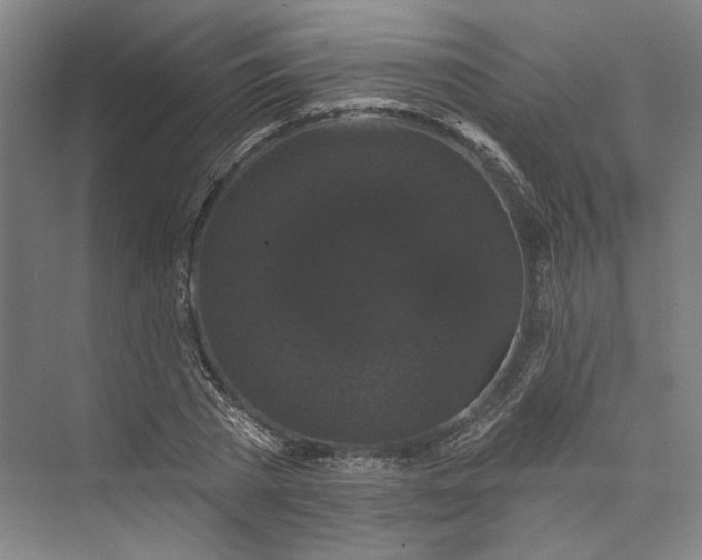 X0000072920785200608041149