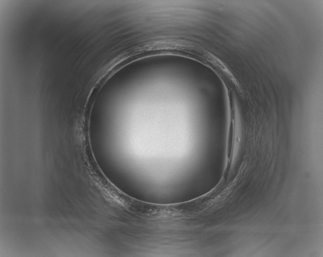 X0000072920786200608041149