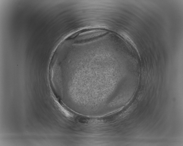 X0000072920789200608041149