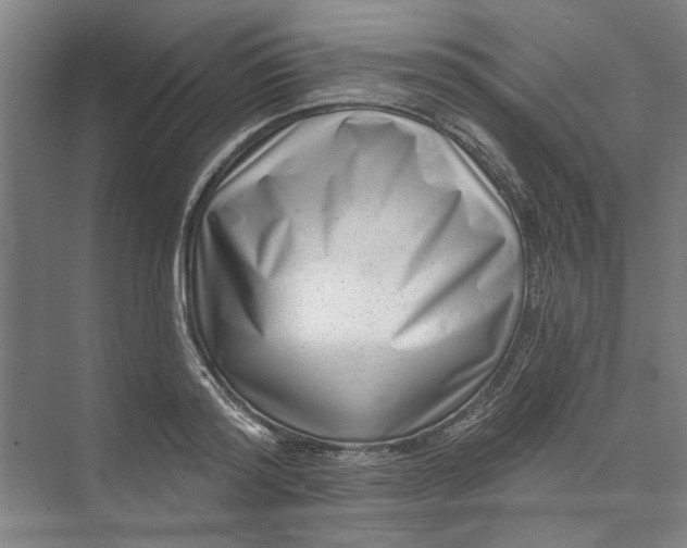 X0000072920796200608041149