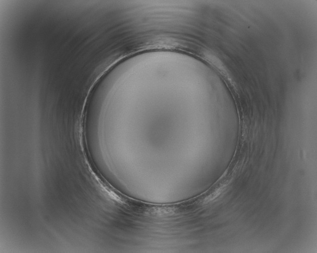 X0000072920802200608041148
