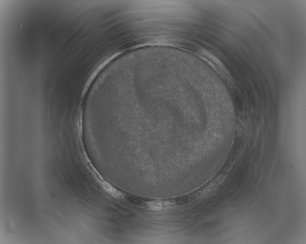 X0000072920804200608041148