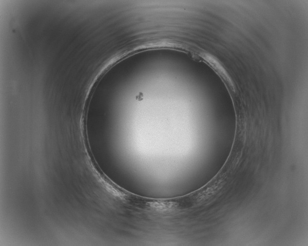 X0000072920805200608041148