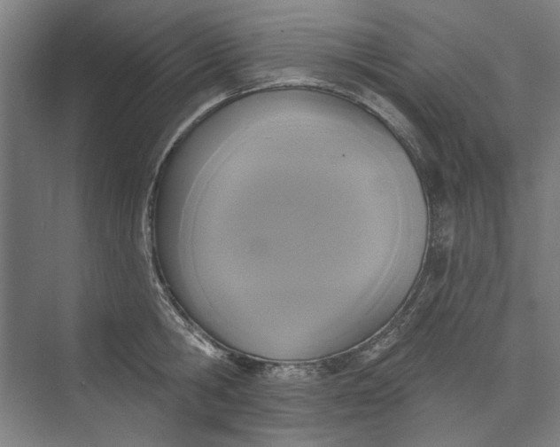 X0000072920806200608041148