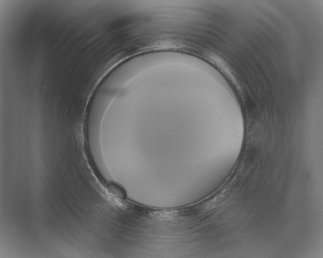 X0000072920810200608041148