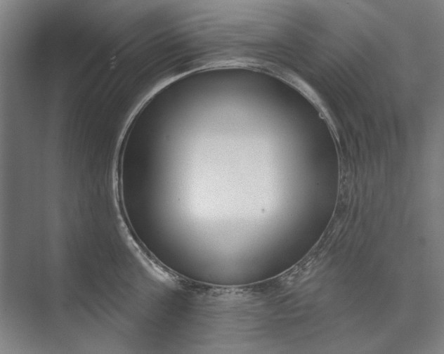 X0000072920811200608041148