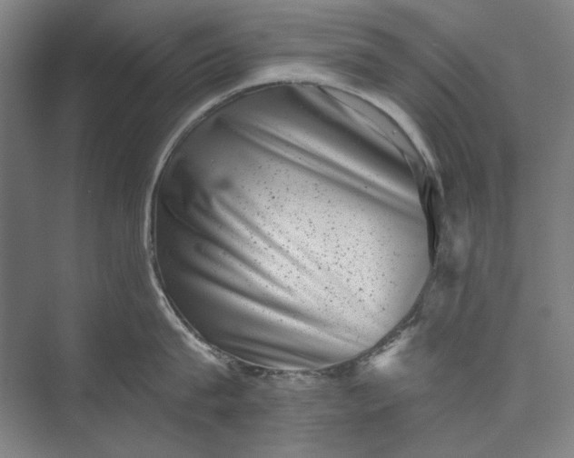 X0000072920815200608041148