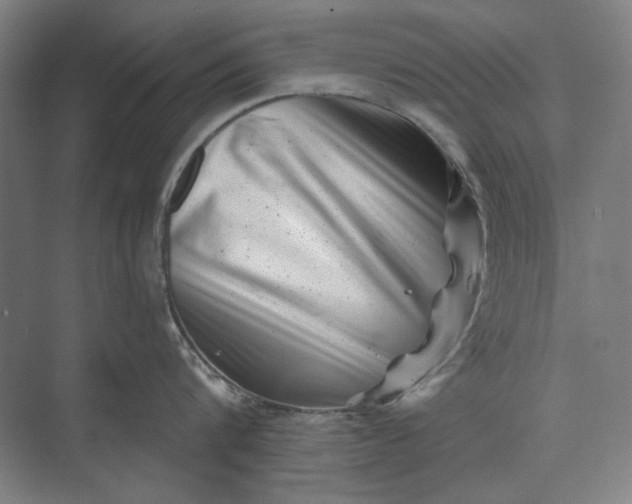 X0000072920816200608041148
