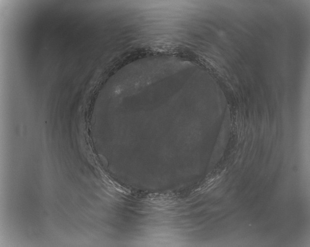 X0000072920817200608041147