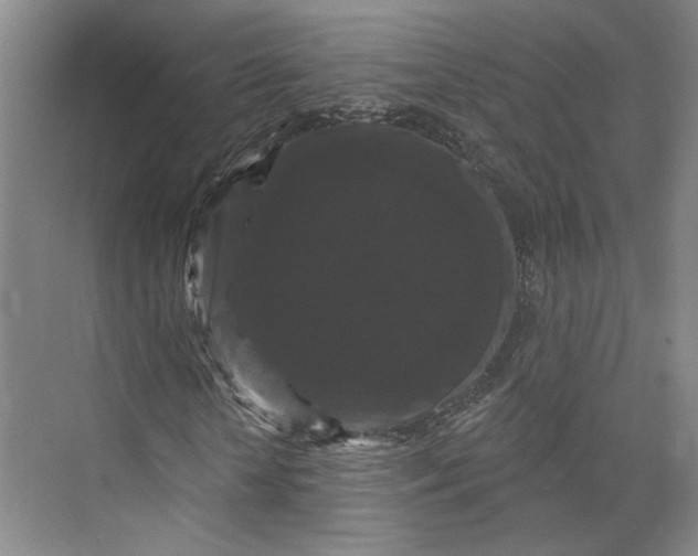 X0000072920818200608041147