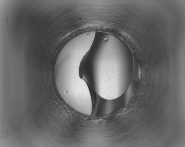 X0000072920822200608041148