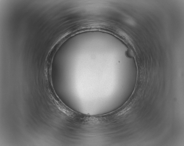 X0000072920827200608041148