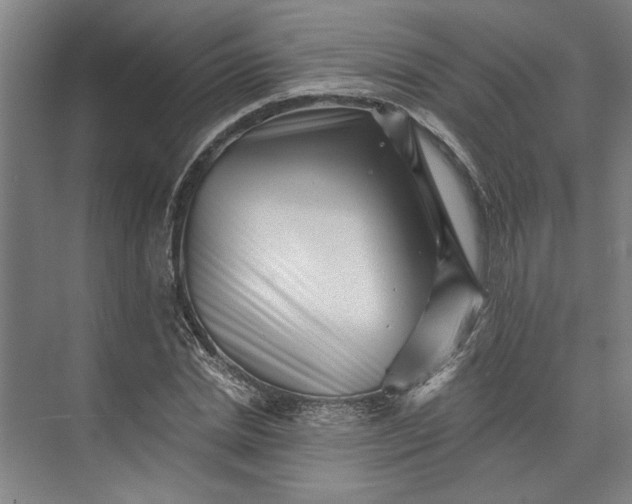 X0000072920830200608041148