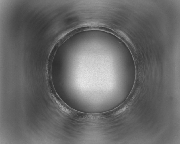 X0000072920831200608041148