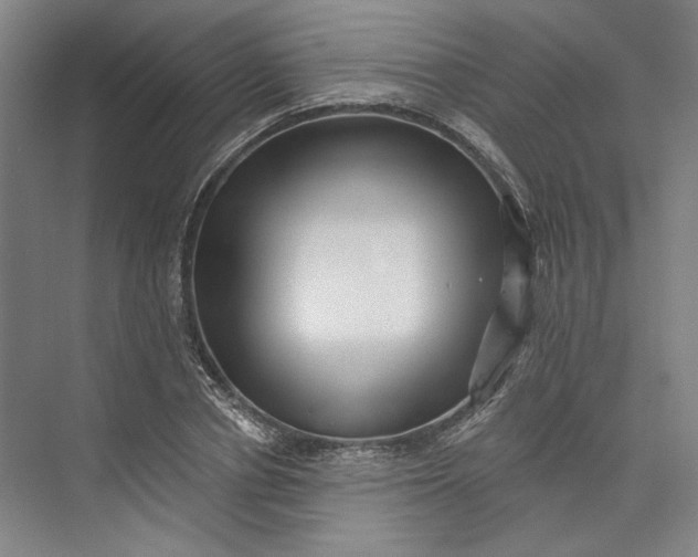 X0000072920834200608041148