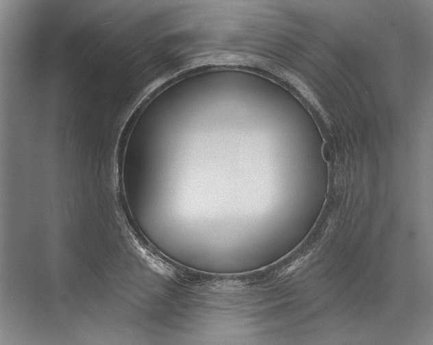 X0000072920837200608041148