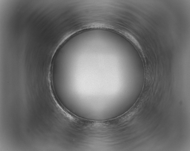 X0000072920847200608041148