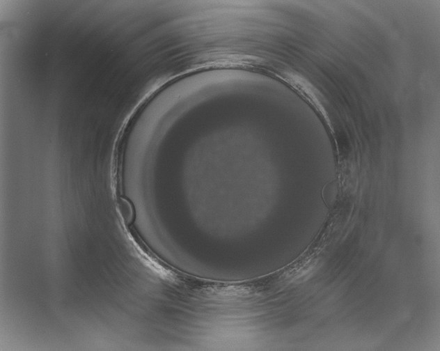 X0000072920851200608041148