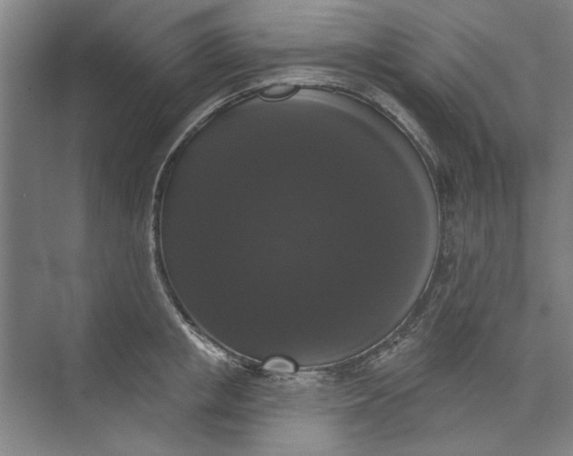 X0000072920853200608041148