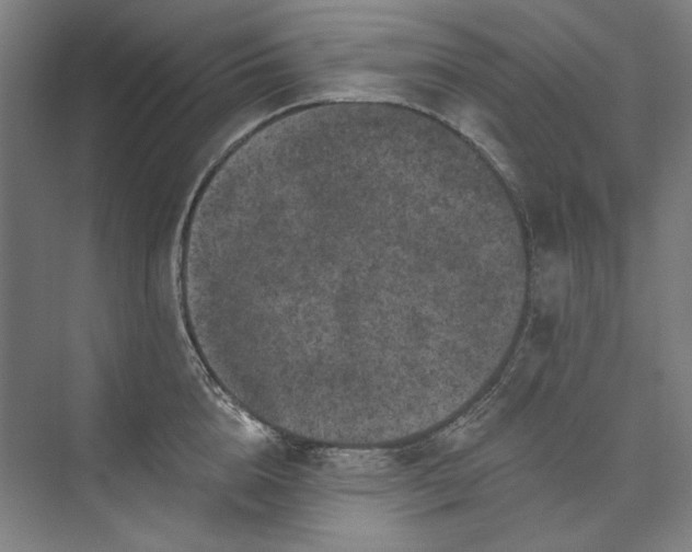 X0000072920856200608041148